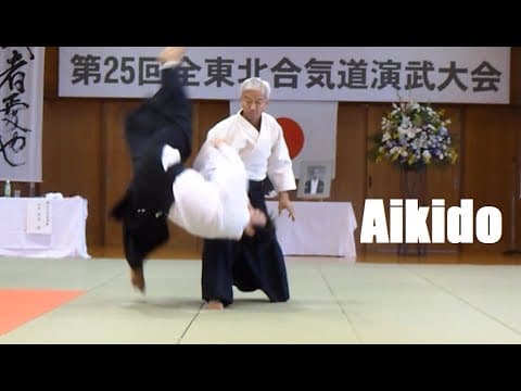 Aikido Doshu Ueshiba Moriteru Sensei