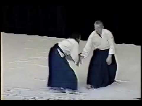 Endo Shihan 1995 Kobukan 20th Annivesary Demonstration